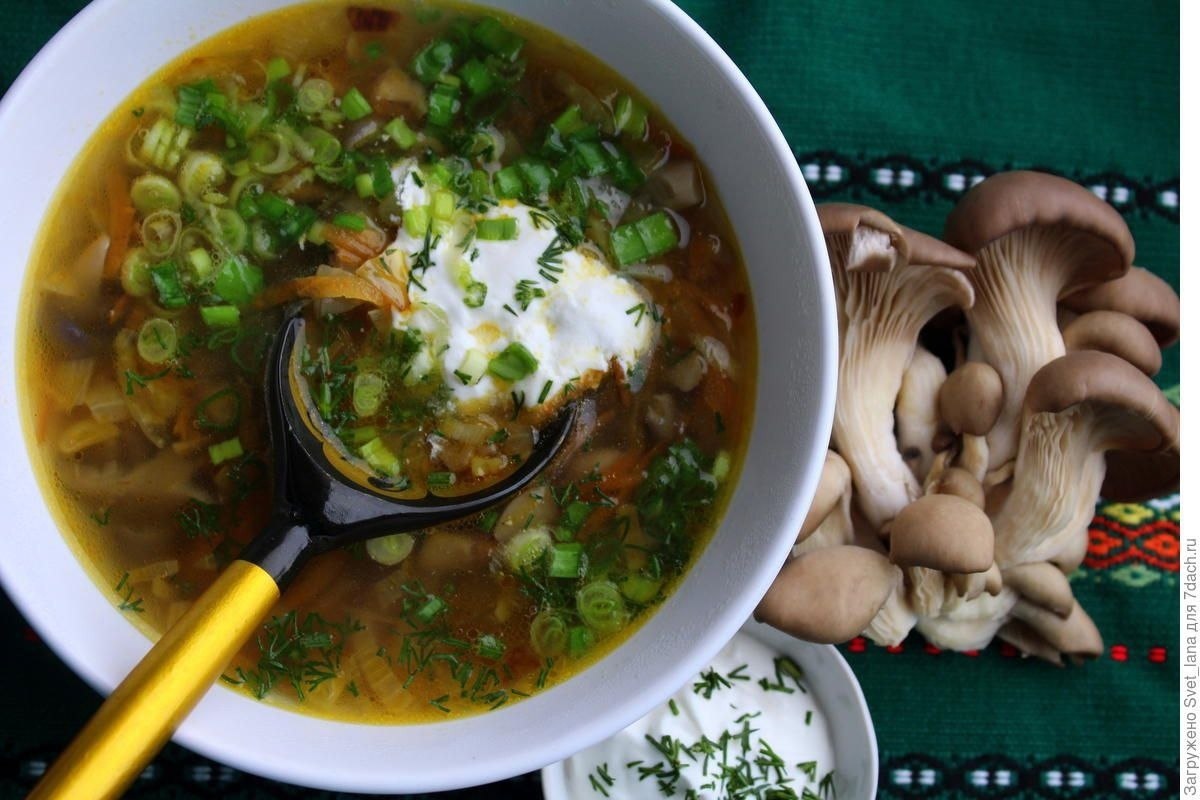 Ich koche eine Suppe aus Pleurotus eryngii. Sie ist besser als eine gewöhnliche Pilzsuppe.