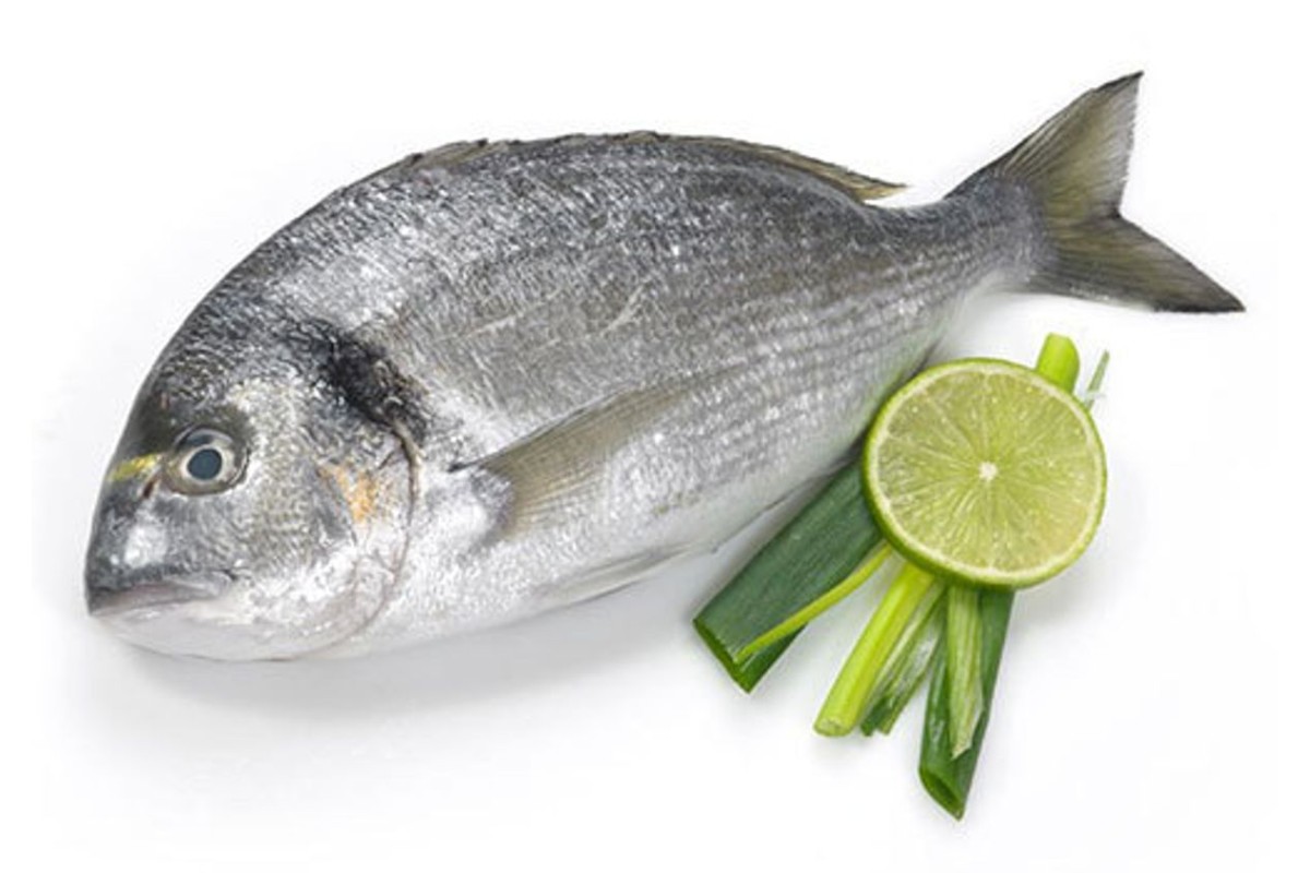 dorada ohl 2 1200x800