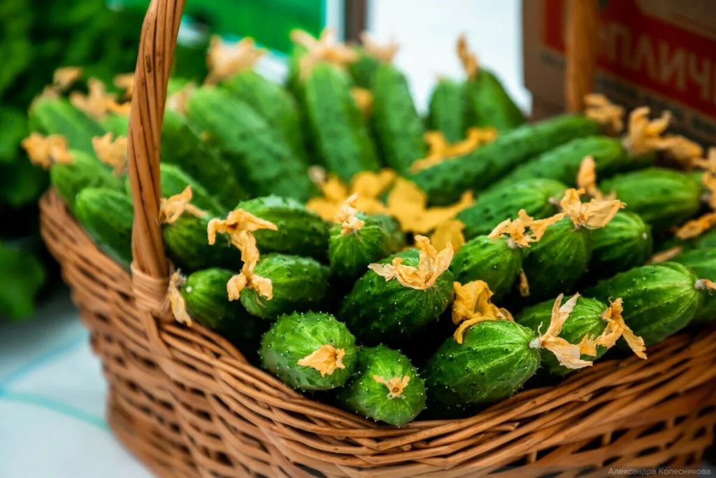 Lagerung von Obst und Gemüse