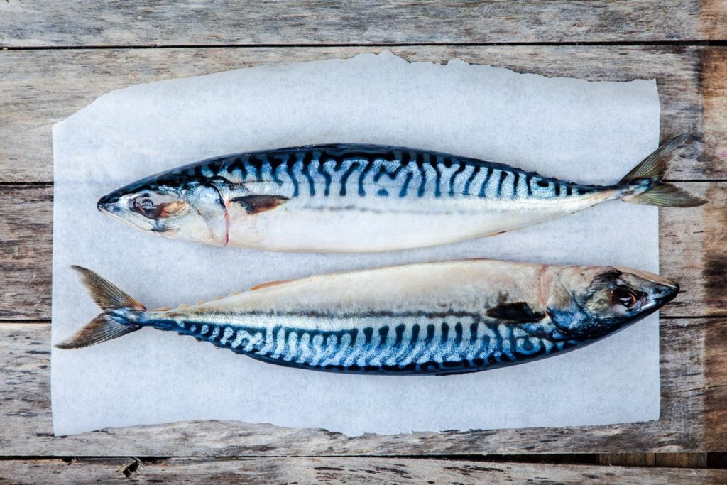 Auf Wiedersehen, Lachs: Dieser Fisch wird in Deutschland nicht gegessen, ist aber viel besser