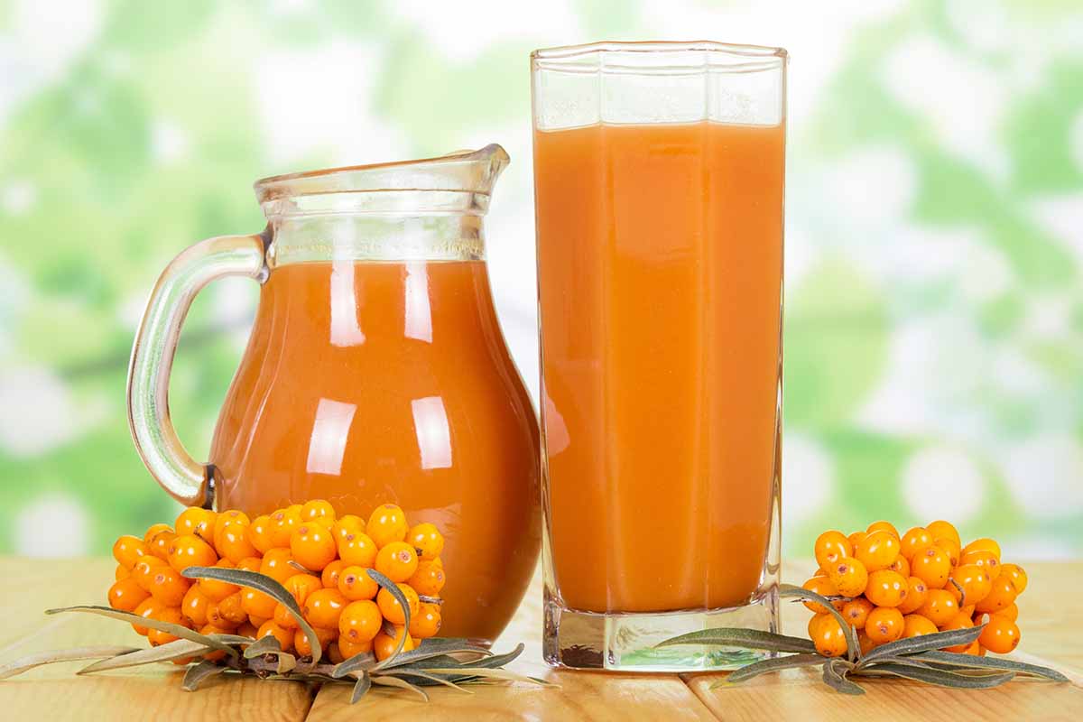 Aus diesen kleinen orangefarbenen Früchten mache ich Sirup. Er schützt vor Krankheiten, und ich habe immer einen Vorrat davon in meiner Speisekammer.
