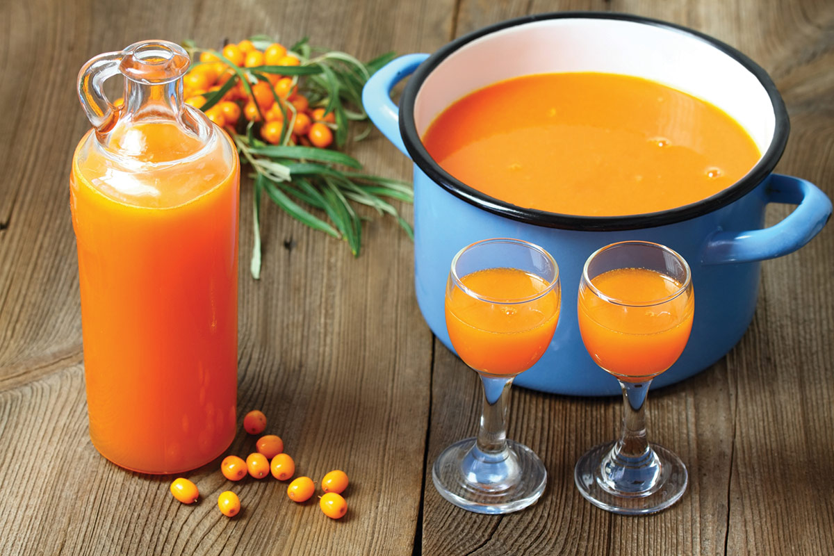 Aus diesen kleinen orangefarbenen Früchten mache ich Sirup. Er schützt vor Krankheiten, und ich habe immer einen Vorrat davon in meiner Speisekammer.