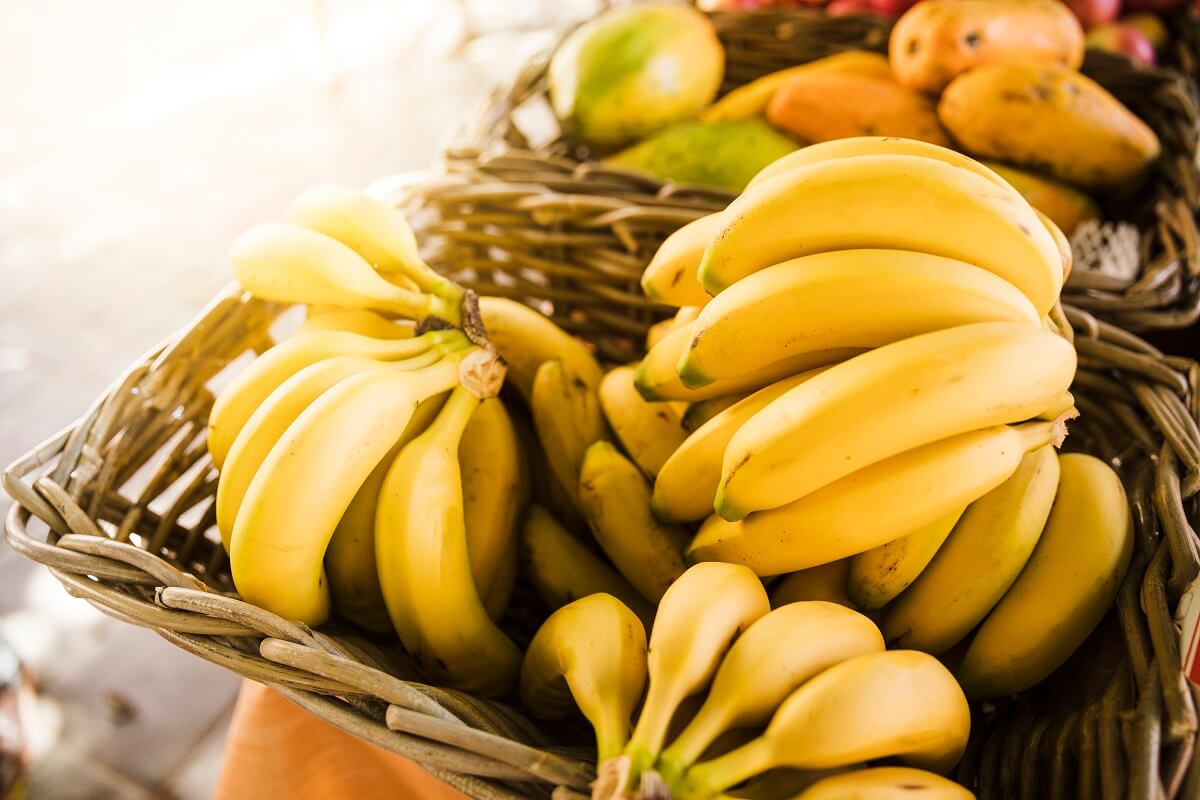 Wie man Bananen lagert, damit sie nicht schwarz werden. Die Früchte bleiben viele Tage lang frisch