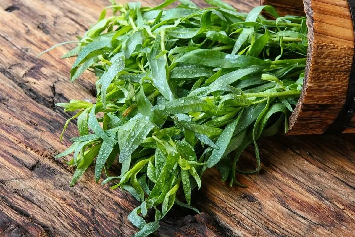 Alle fügen immer Dill zu geräuchertem oder frischem Lachs hinzu, aber dieses Gewürz passt viel besser dazu