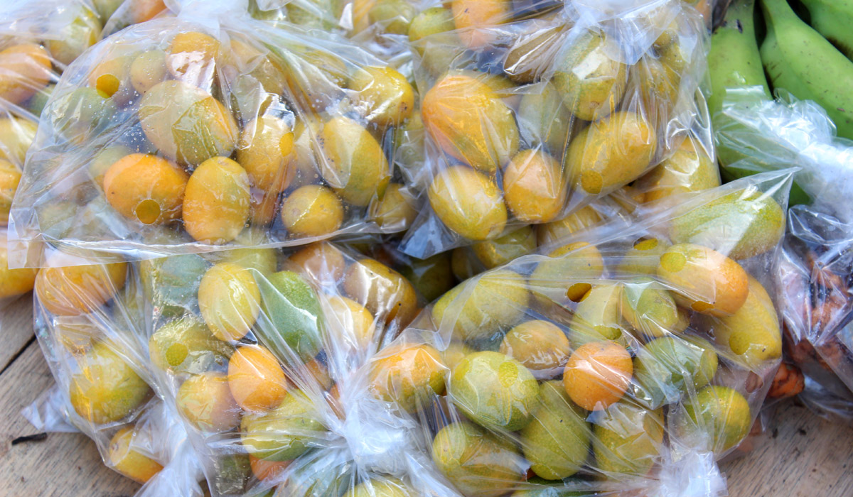 Die exotische Pflaume schmeckt wie eine Mischung aus Mango, Aprikose und Limette. Sie reinigt den Körper, verjüngt und stärkt das Immunsystem