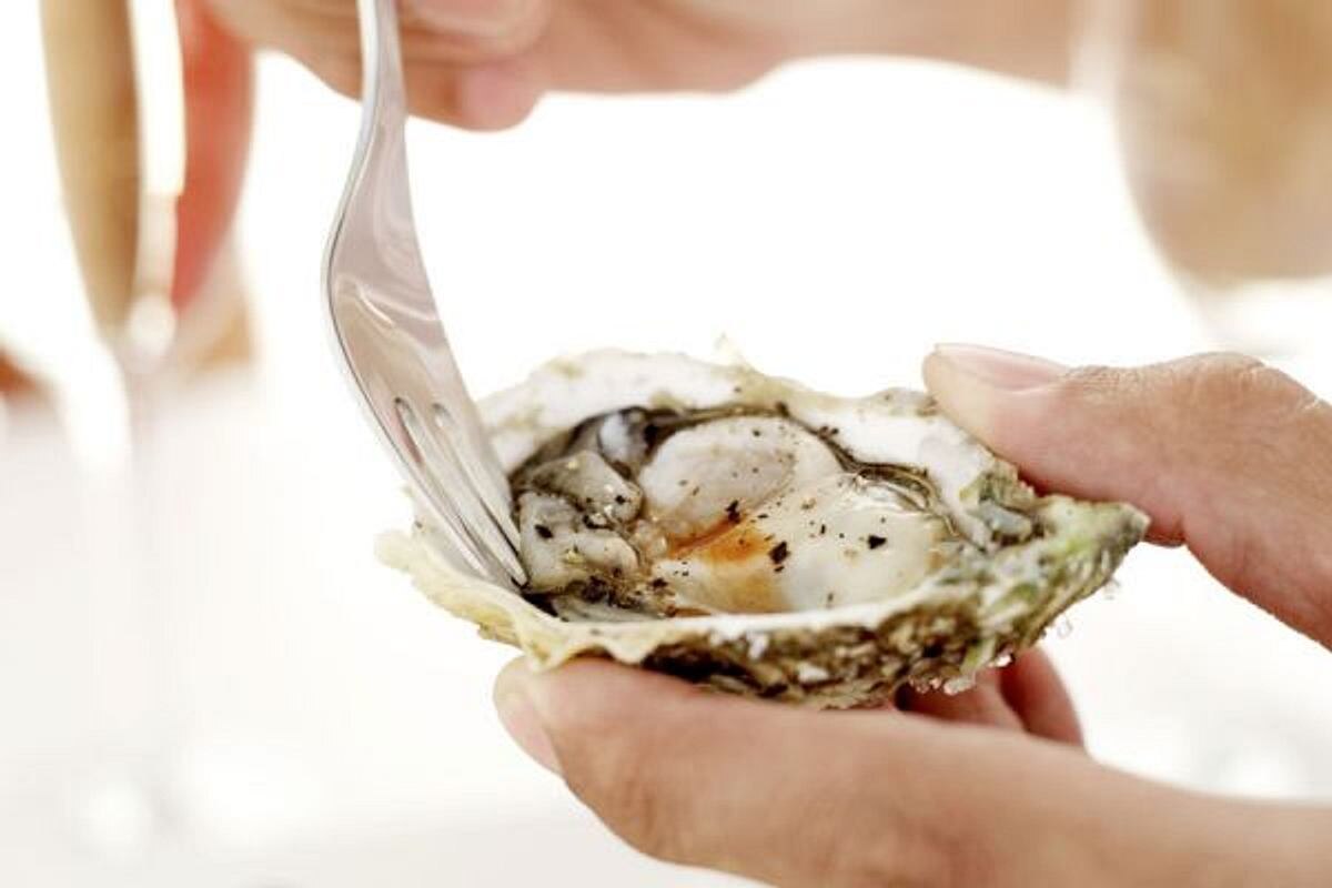 Früher wurden sie von armen Leuten gegessen, heute gelten sie als luxuriöse Delikatesse. Sie steigern die Libido und stärken den Körper