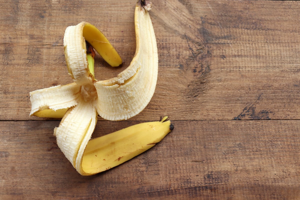 Zerkleinern von Bananenschalen und Kaffee: Warum ist das empfehlenswert und wozu dient es?