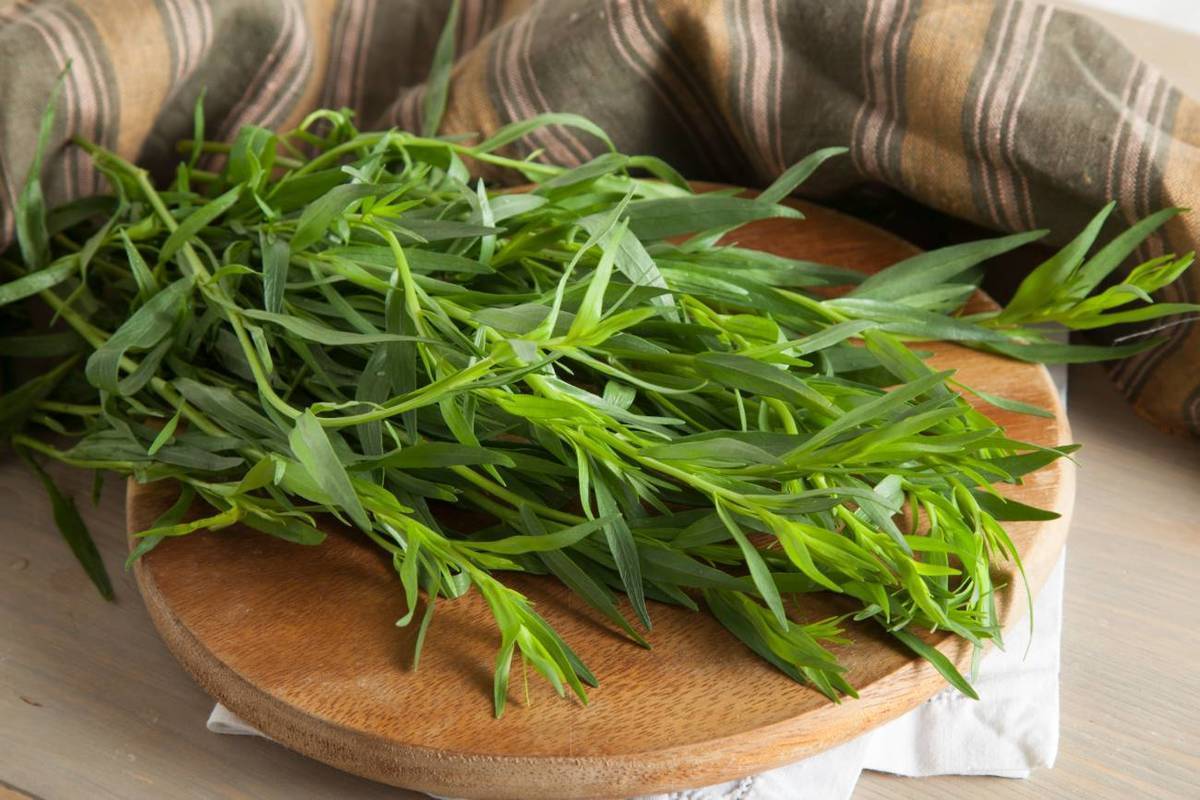 Alle fügen geräuchertem oder frischem Lachs immer Dill hinzu, aber dieses Gewürz passt viel besser dazu.